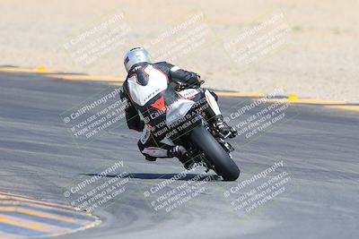 media/Mar-10-2024-SoCal Trackdays (Sun) [[6228d7c590]]/9-Turn 8 Backside (1150am)/